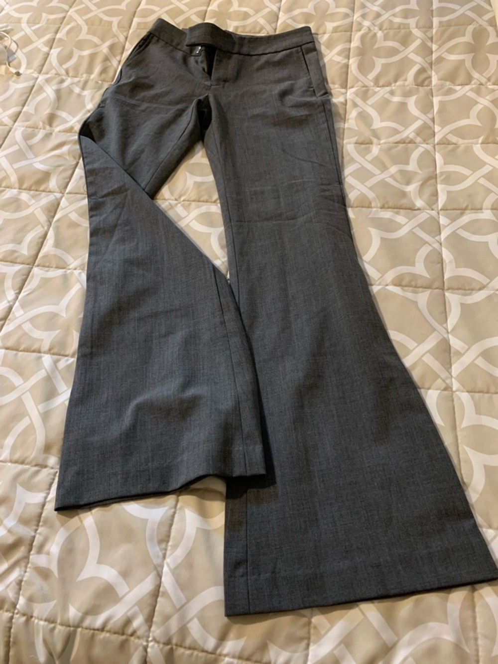 Bitten by Sarah Jessica Parker Slate Gray Boot-Cut Pants